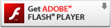 Adobe Flash Player _E[h()